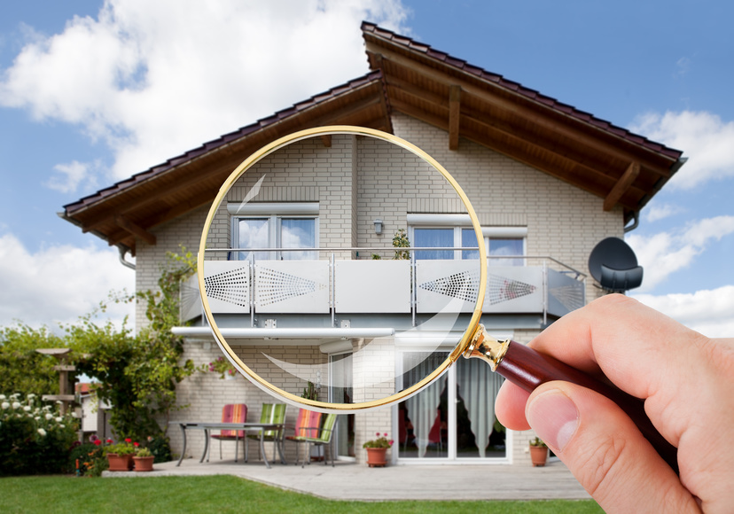 3 Reasons you need an Independent Building and Pest Inspection Report